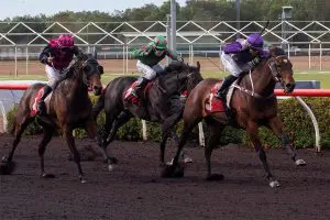 Sonja Wiseman, Valentina Star Valentina Star wins Rose Bowl