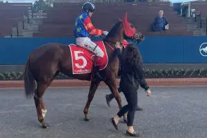 Carlyon Stakes