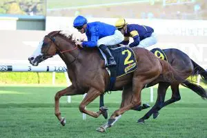 2022 All Aged Stakes