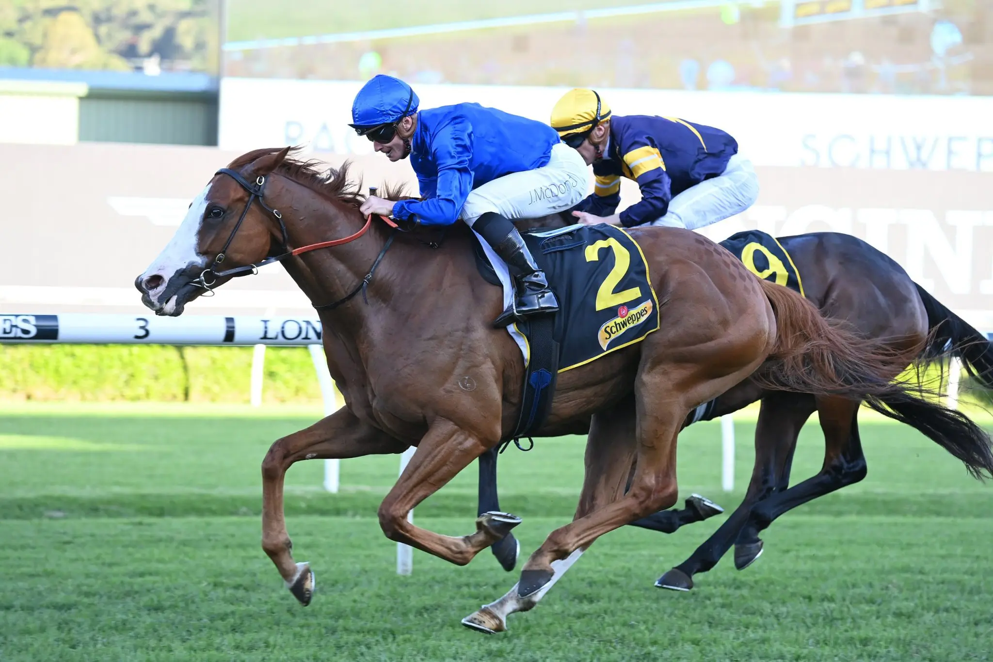 2022 All Aged Stakes