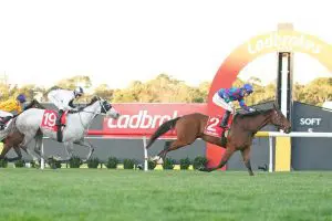 Chief Altony wins at Sandown