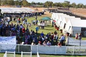 Katherine Turf Club racing news