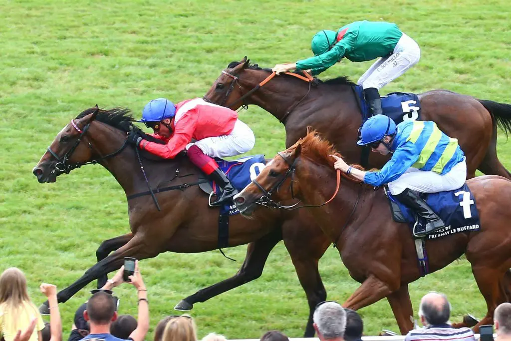 Inspiral wins Prix Jacques le Marois