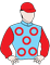 Zelring silks