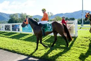 Prime Ruler wins at Cairns