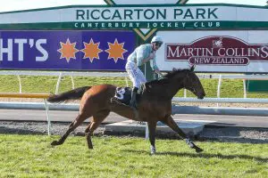 WEST COAST Oulaghan topliners primed for Manawatu features