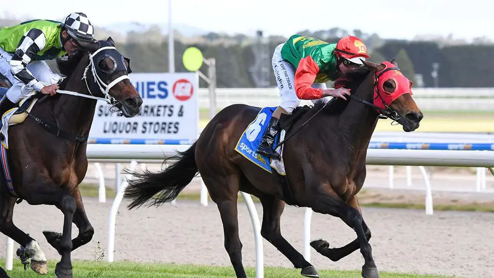 Ballarat Cup Zayydani