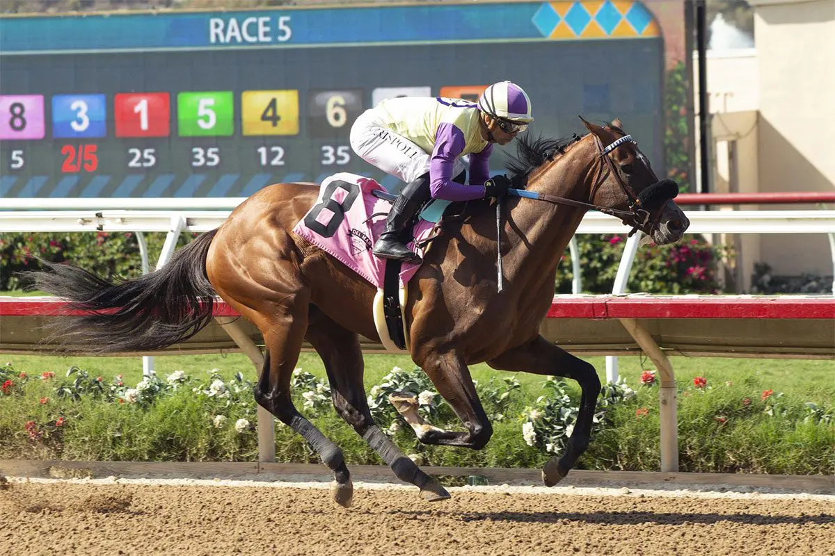 Classical Cat wins at Del Mar