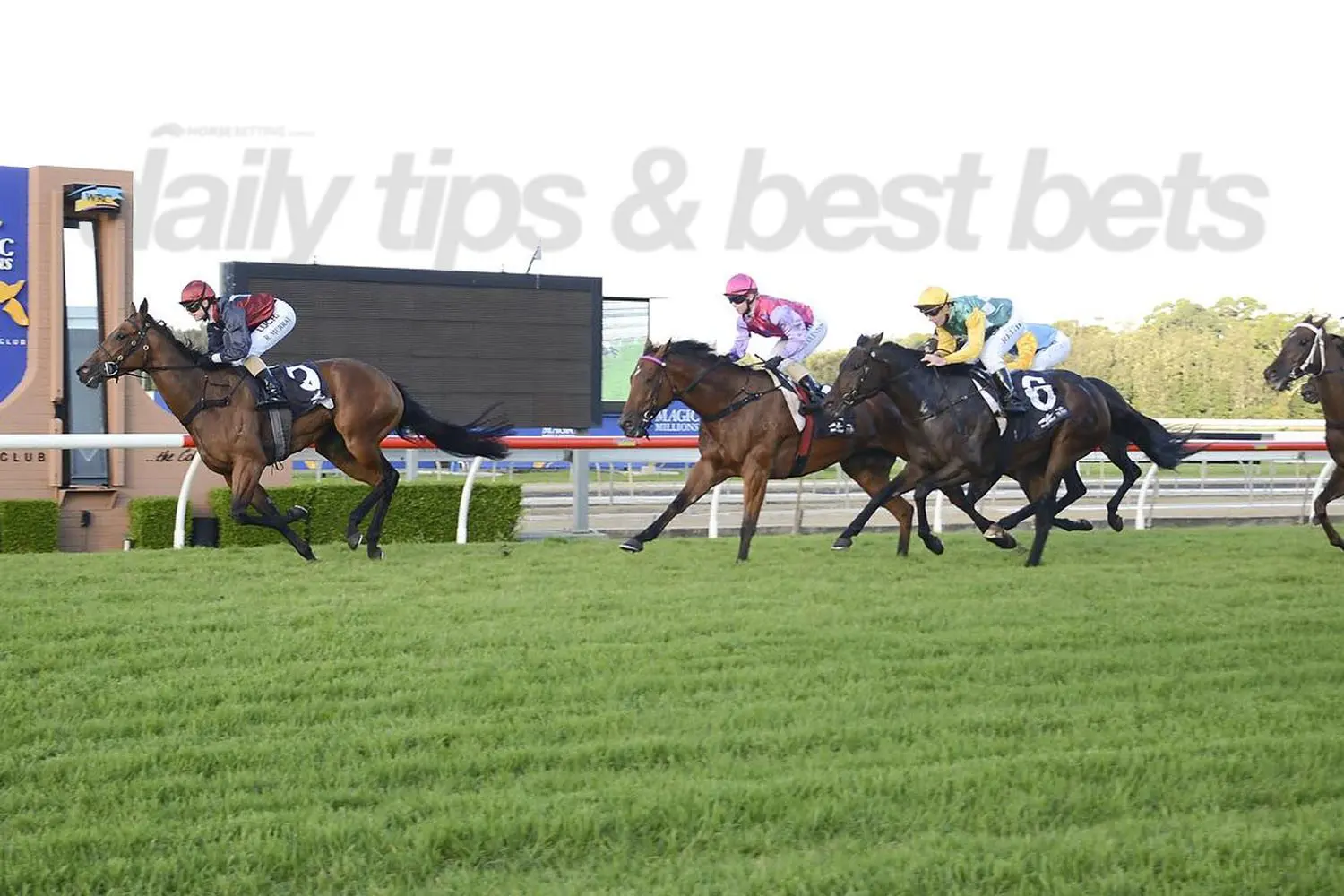 Horse RAcing Tips