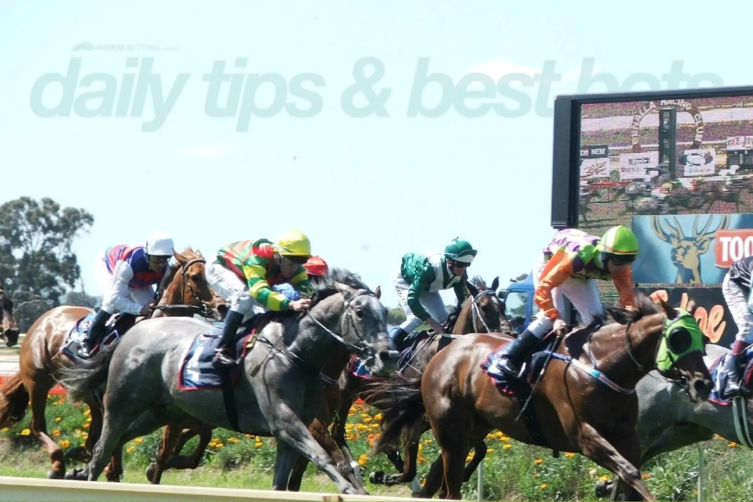 Thursday horse racing tips & best bets