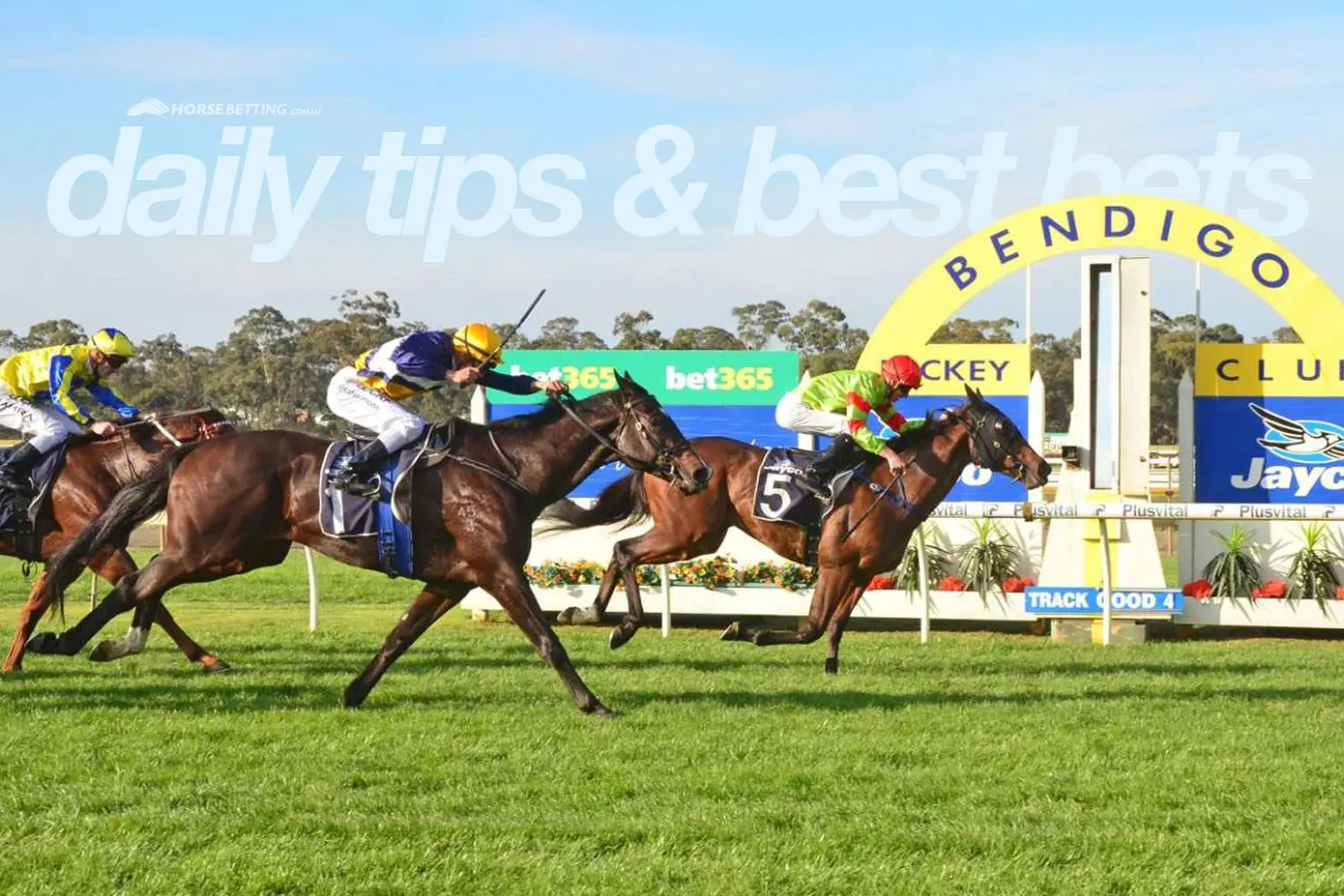 Tuesday horse racing tips & best bets
