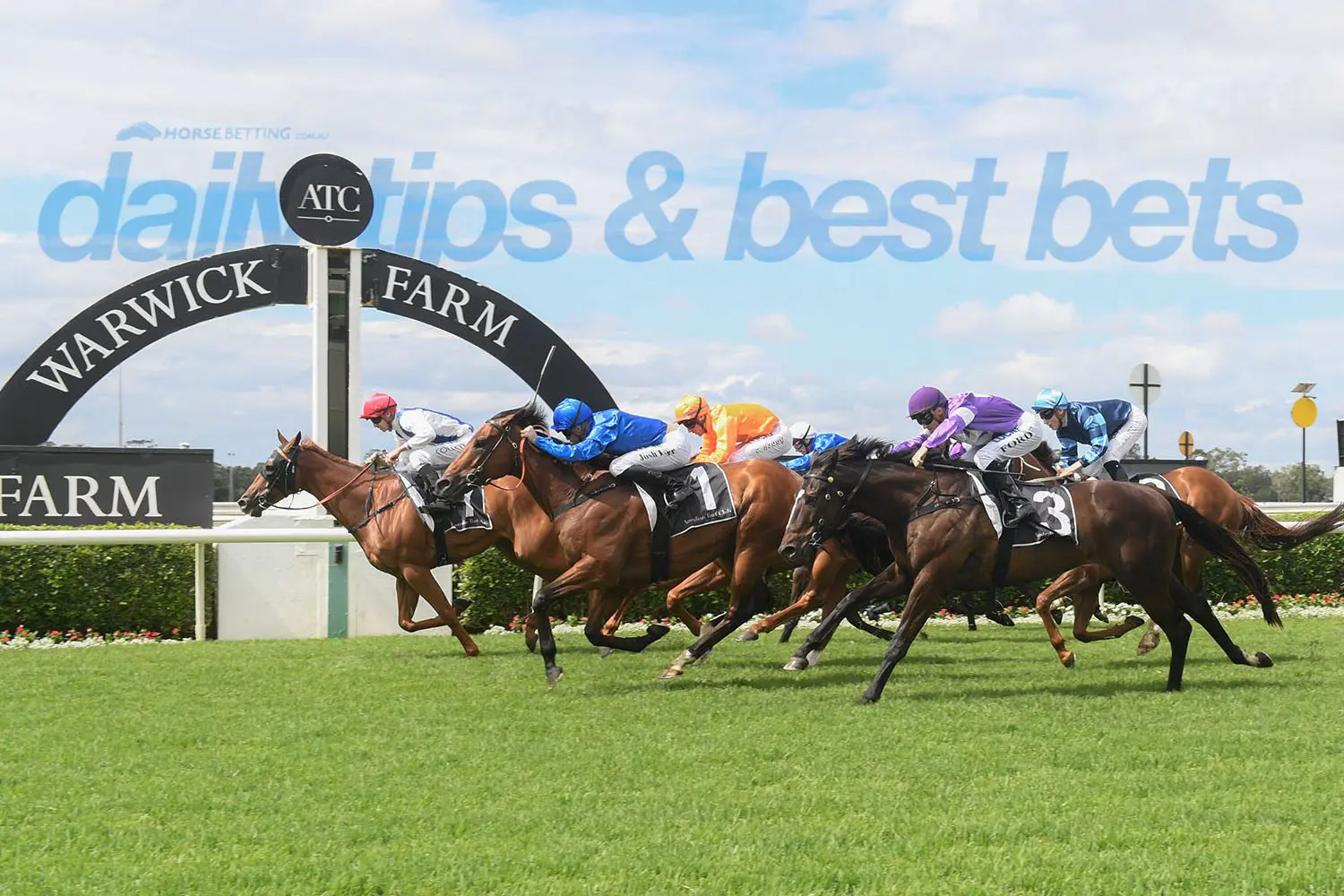 Wednesday horse racing tips & best bets