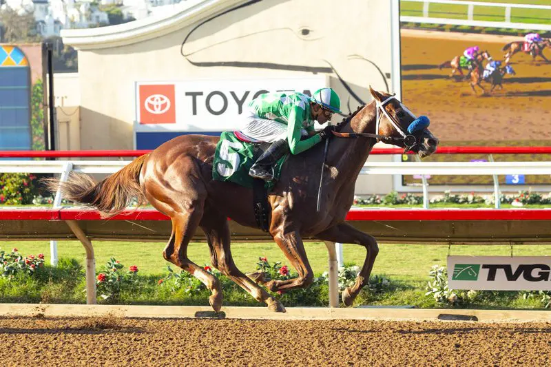 Fashionably Fast wins at Del Mar