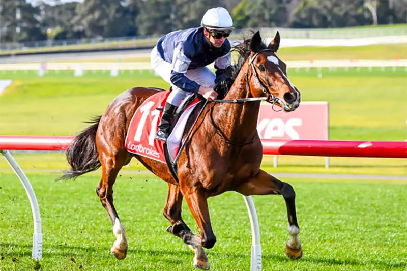 Hosier wins Coffs Harbour Cup