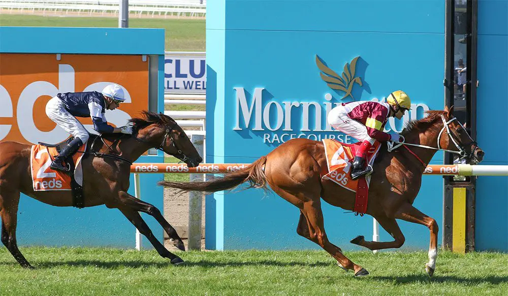 Crystal Pegasus Mornington Cup