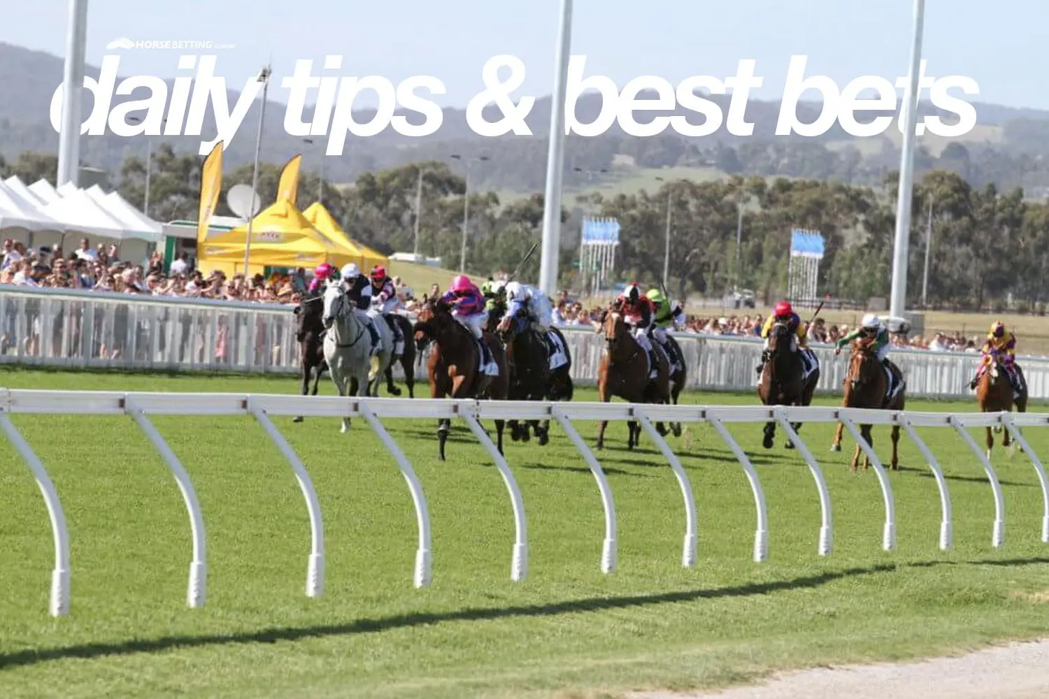 horse racing bets mondays