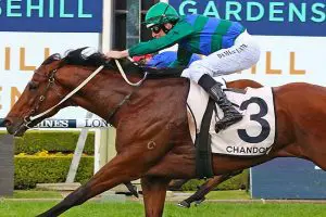 Jacquinot wins Golden Rose