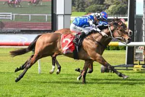 Artzino Artzino primed for staying assignment