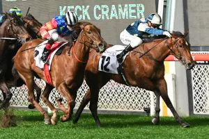 Coolangatta Claims The Moir Stakes