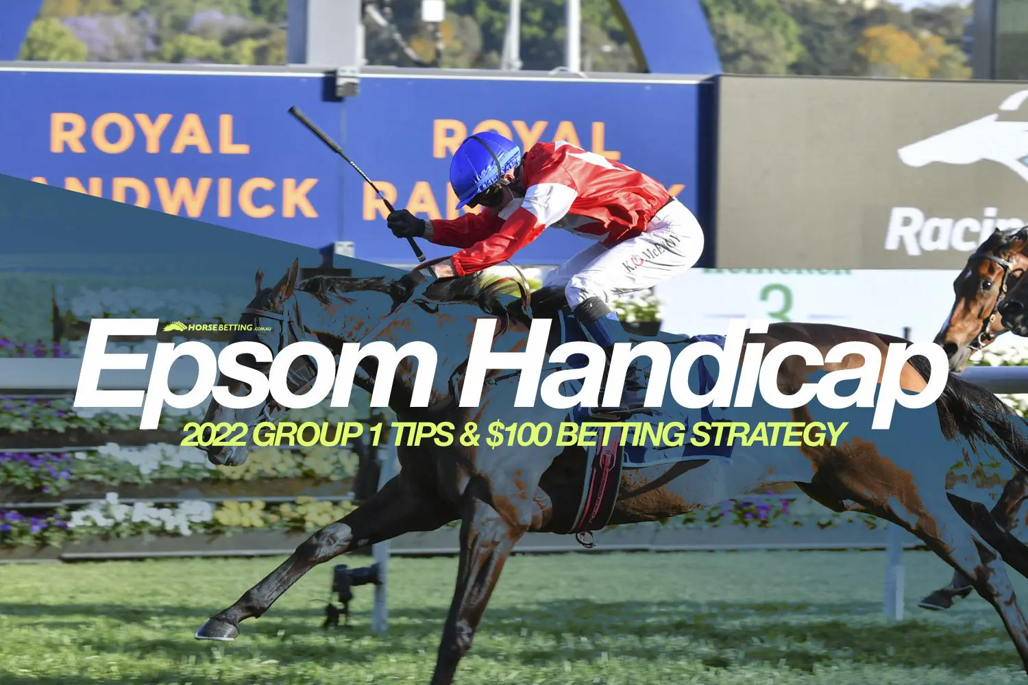 Epsom Handicap tips