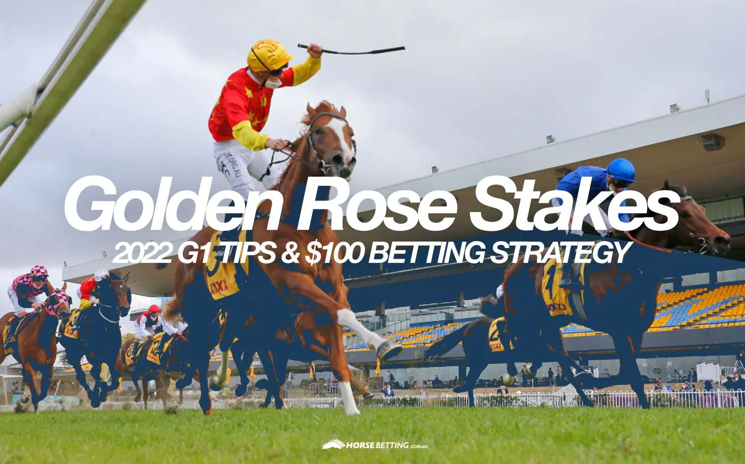 Golden Rose tips