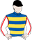 Just A Theory silks