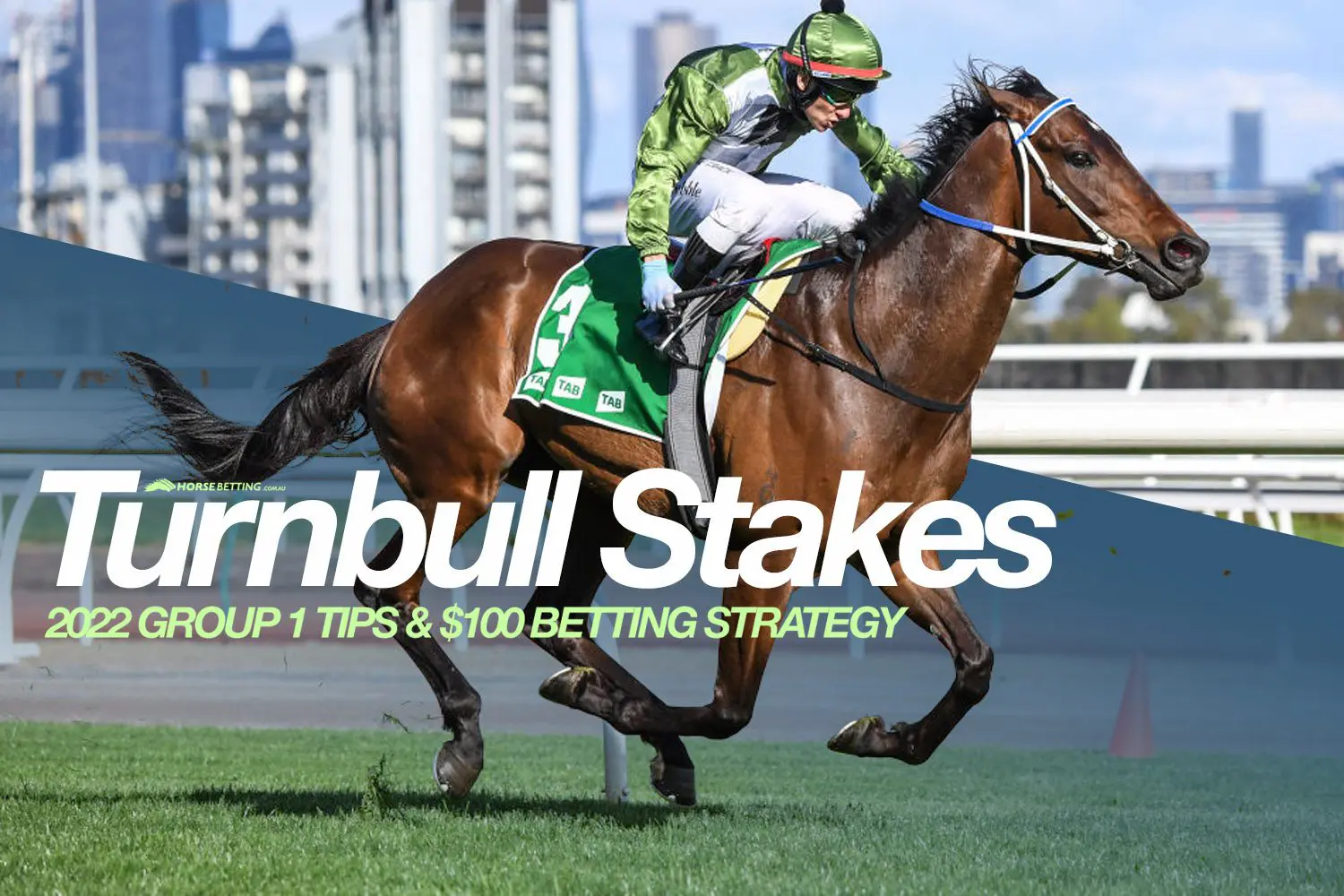 Turnbull Stakes preview 2022 Turnbull Stakes tips