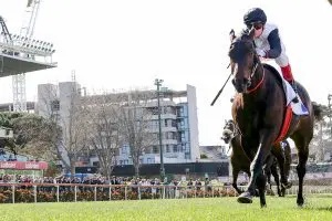Feehan Stakes next for Mr Brightside