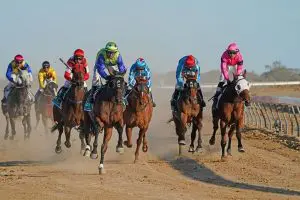 Saccharo wins at Birdsville