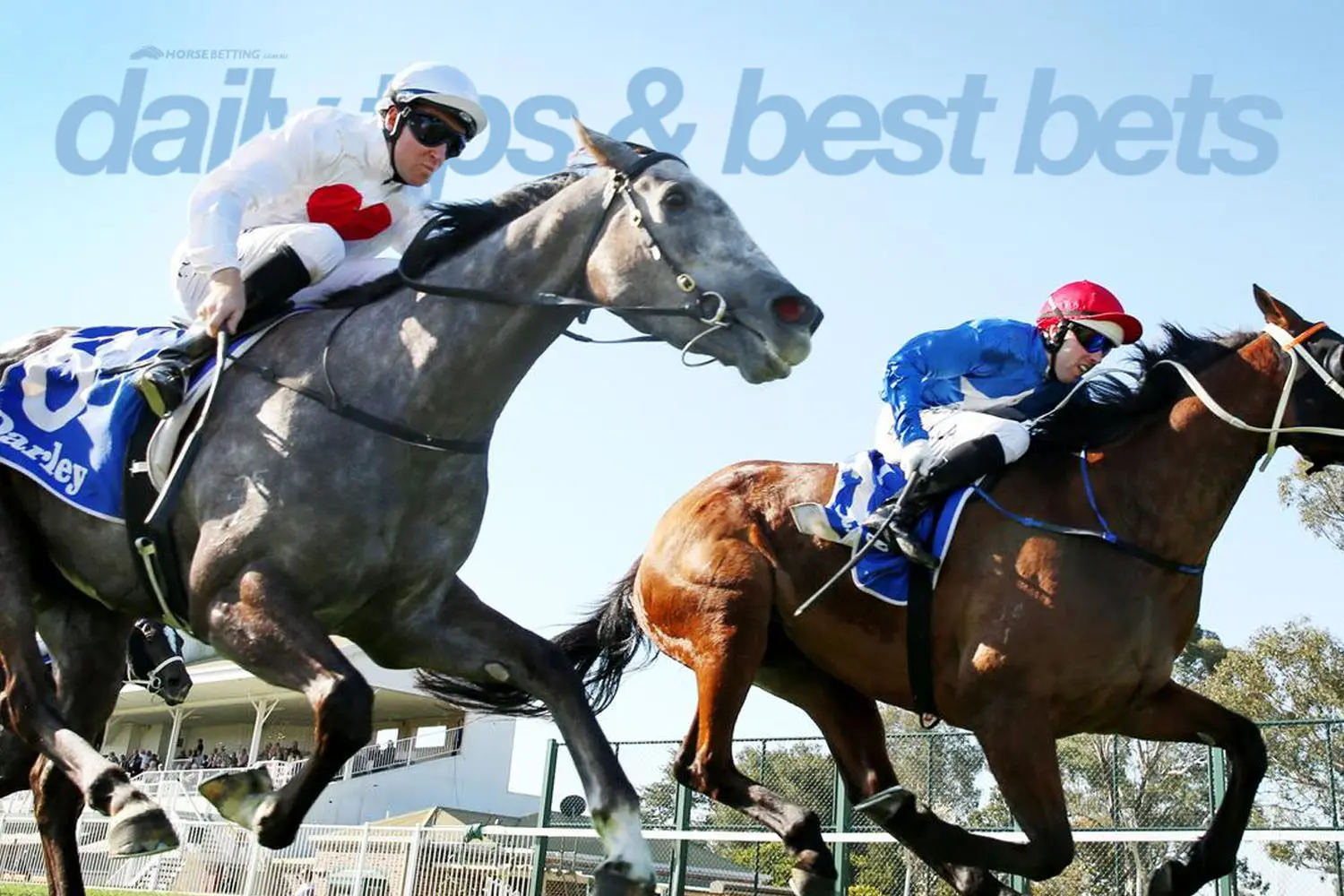 Hawkesbury Racing Tips