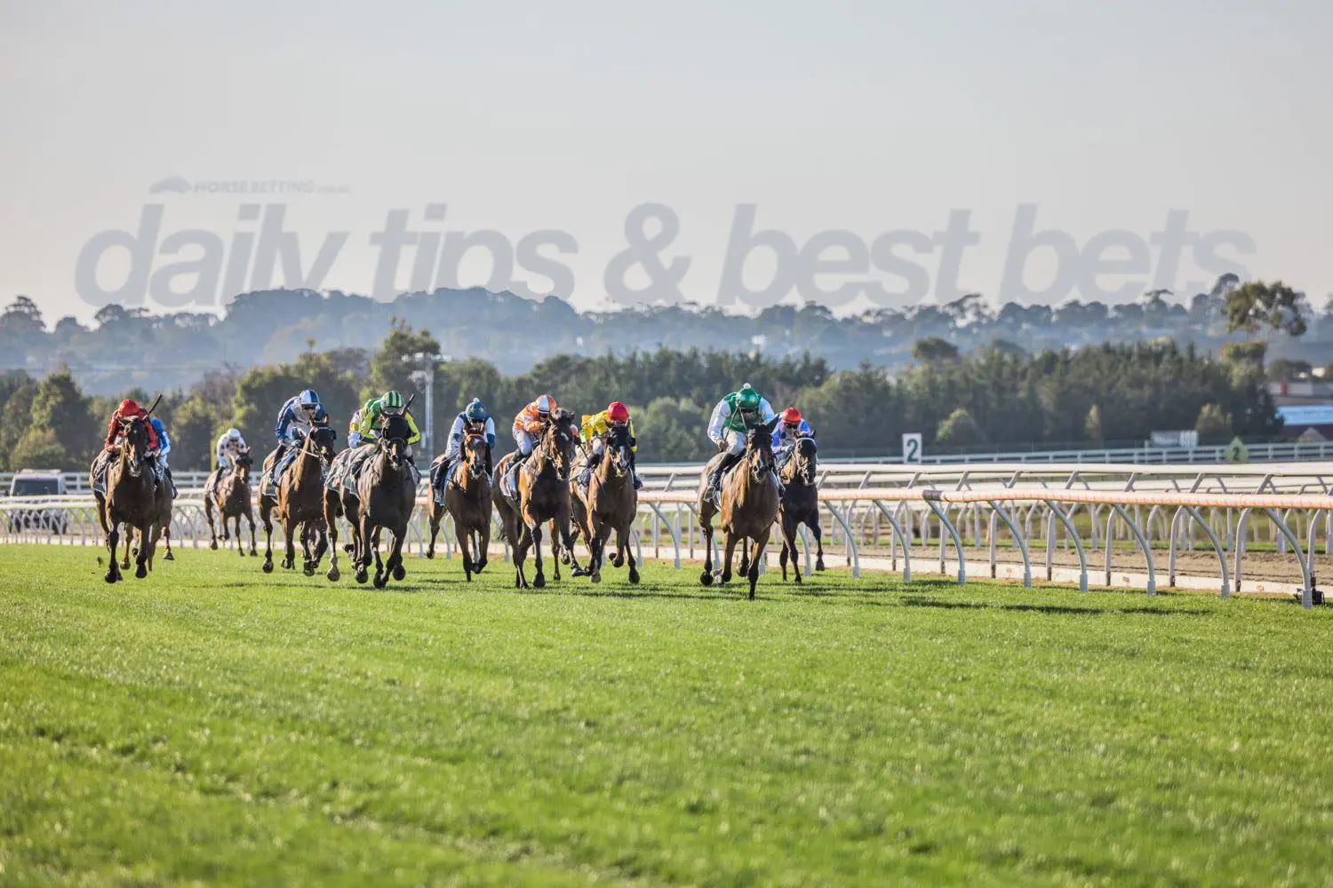 Friday Horse Racing Tips
