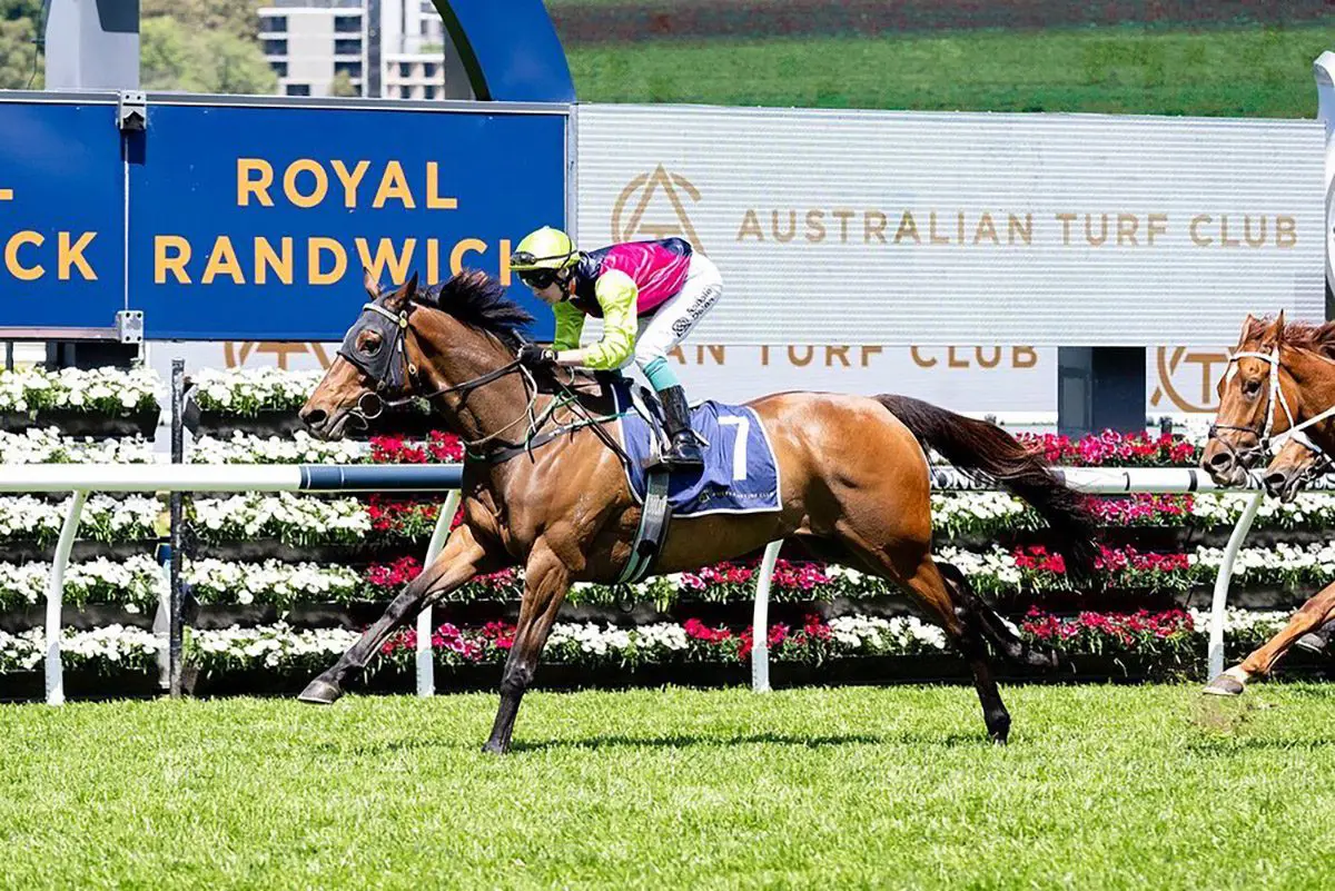 Cisco Bay Wins The Big Dance Wild Card