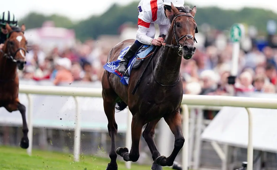 Can An International Horse Win The 2024 Melbourne Cup?