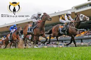 Golden Eagle Day Rosehill betting tips