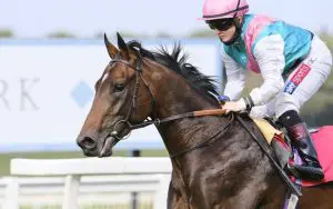 Maximal will start a $41 shot in the 2022 Cox Plate