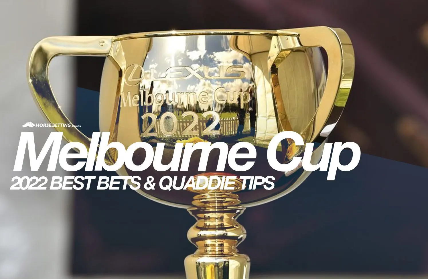 Which Horse Are Running In The 2024 Melbourne Cup?