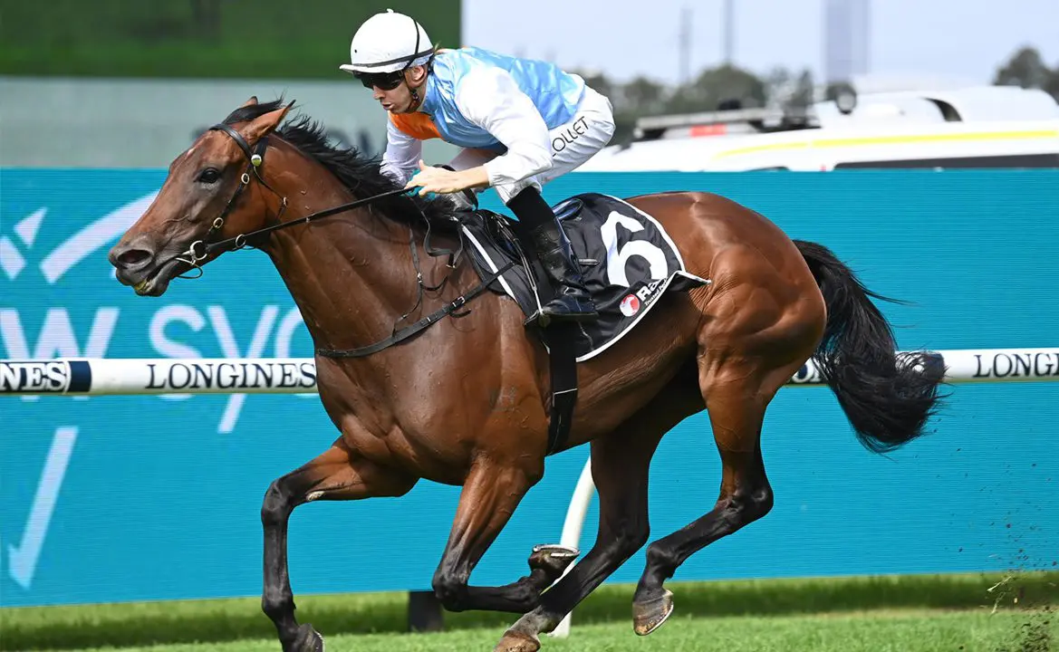 Montefilia horse