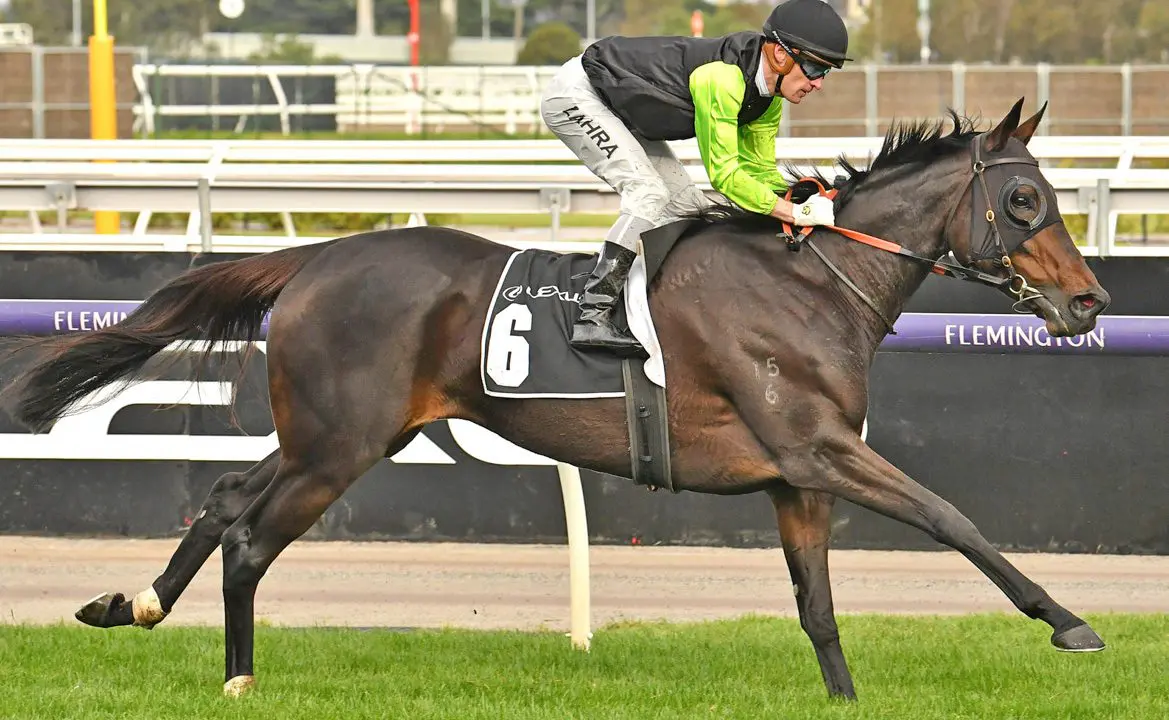 Realm of Flowers horse