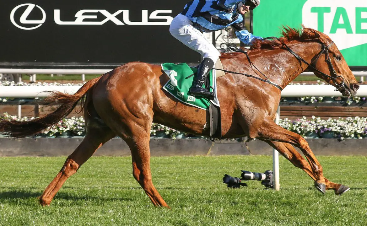 Can Smokin' Romans win the 2022 Melbourne Cup