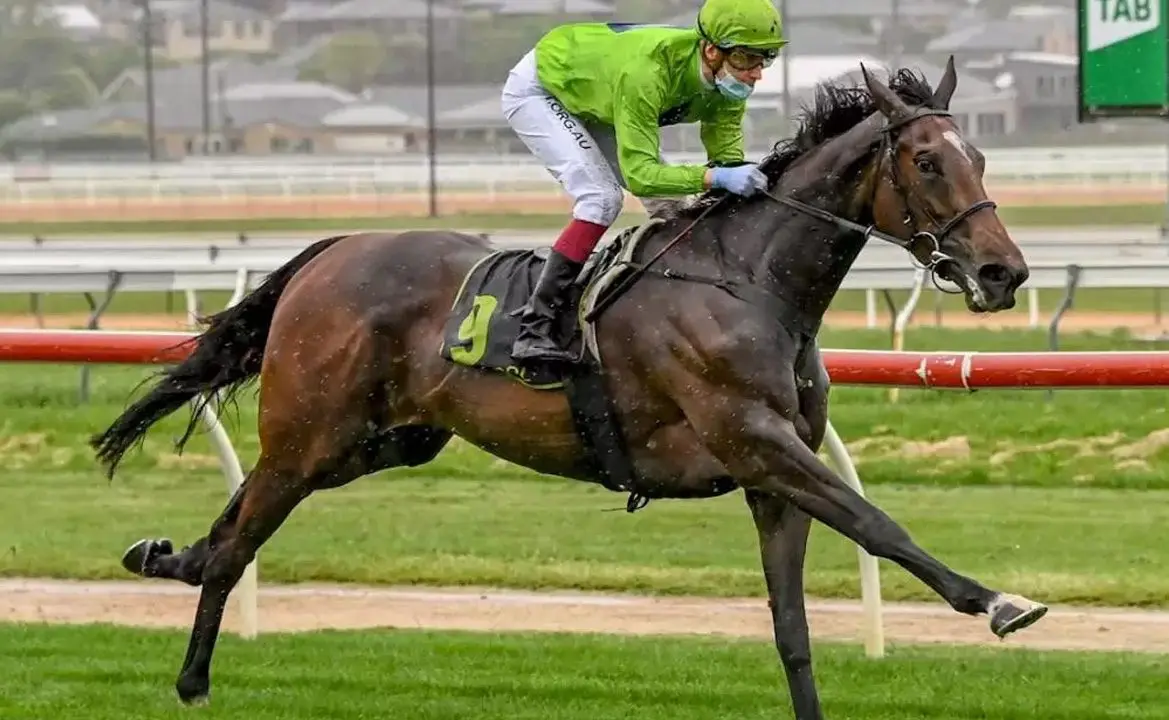 Tralee Rose