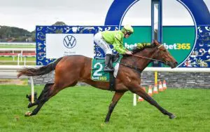 Berkeley Square contending in Caulfield Guineas