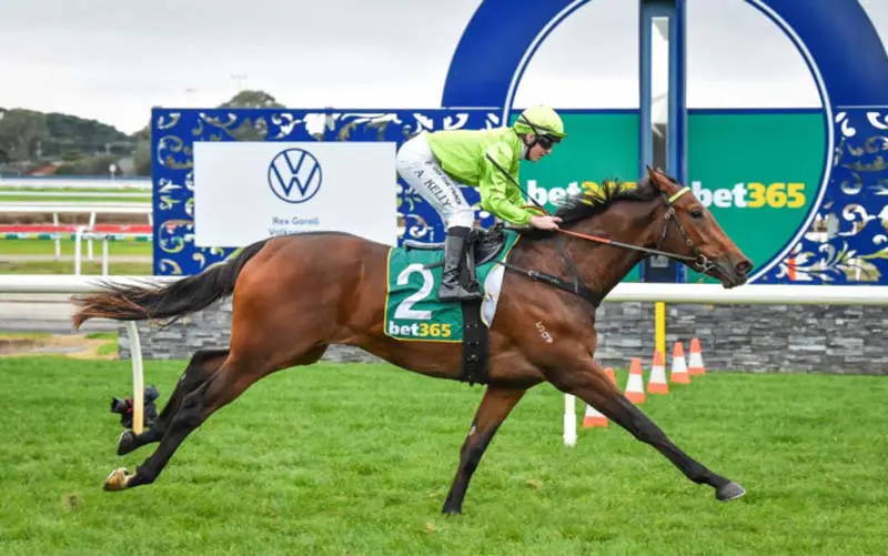 Berkeley Square contending in Caulfield Guineas