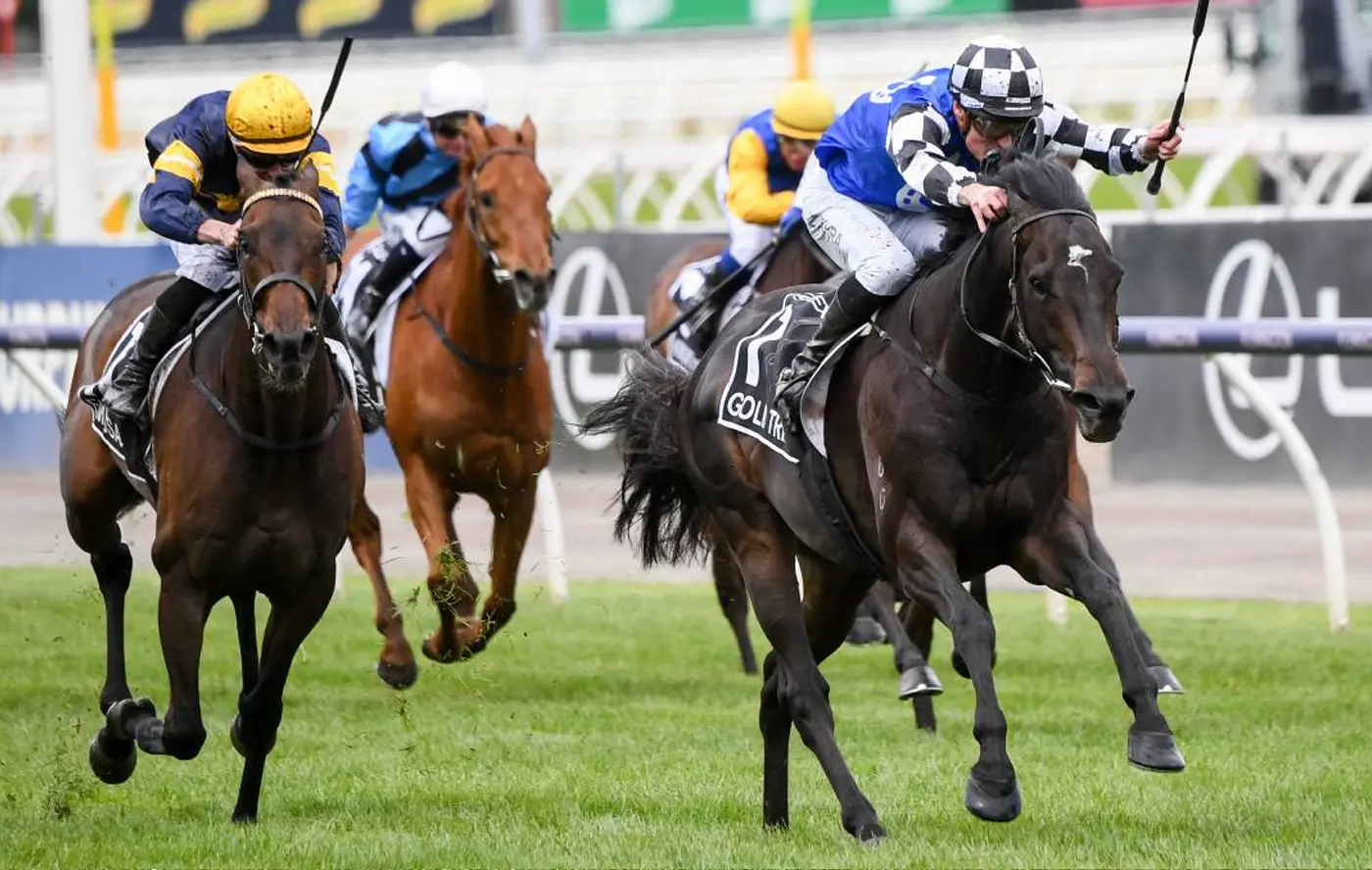 Who won the Melbourne Cup last year?