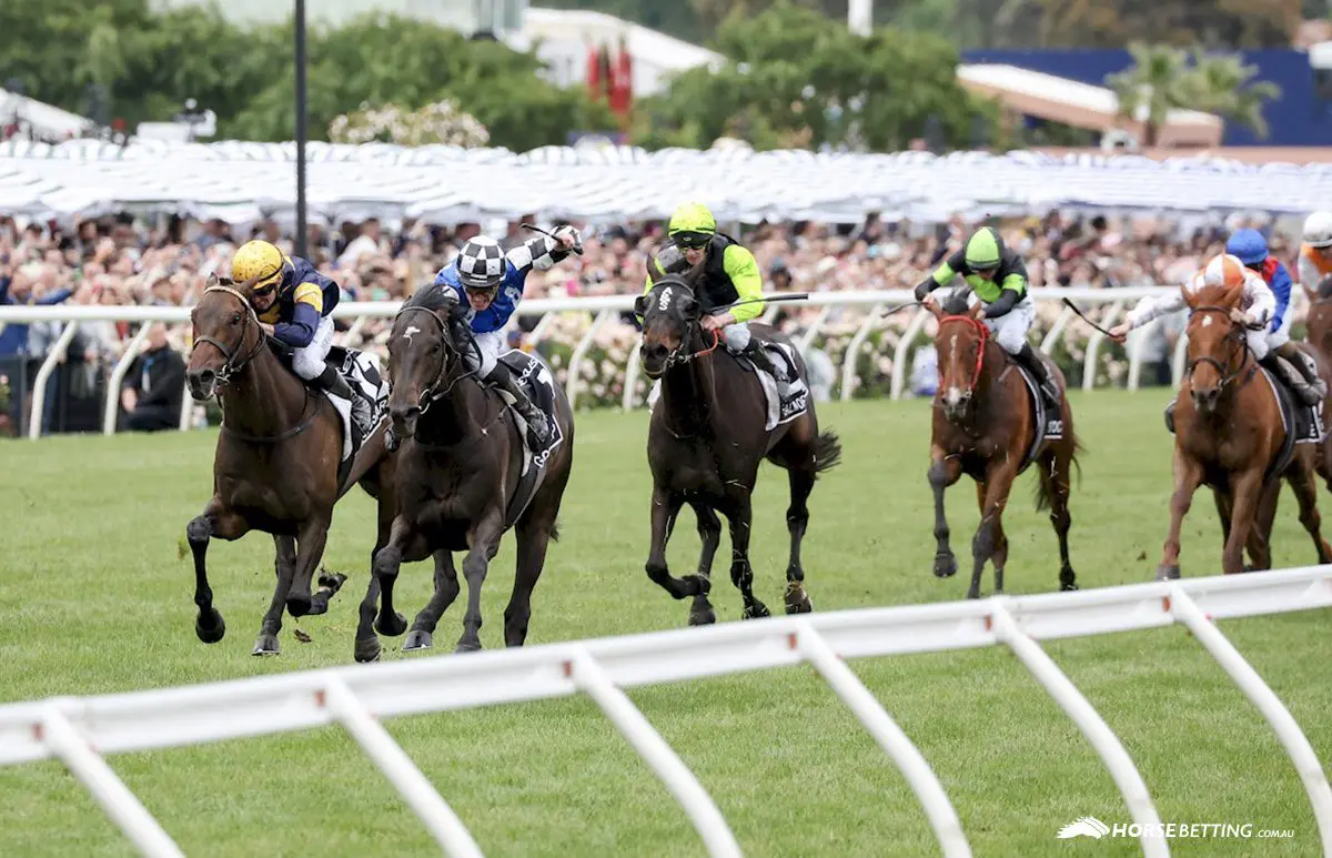 2022 Melbourne Cup winner