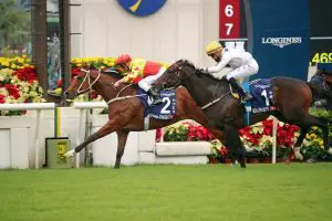 California Spangle Cruz unbothered by FWD Champions Mile draw ahead of Golden Sixty clash
