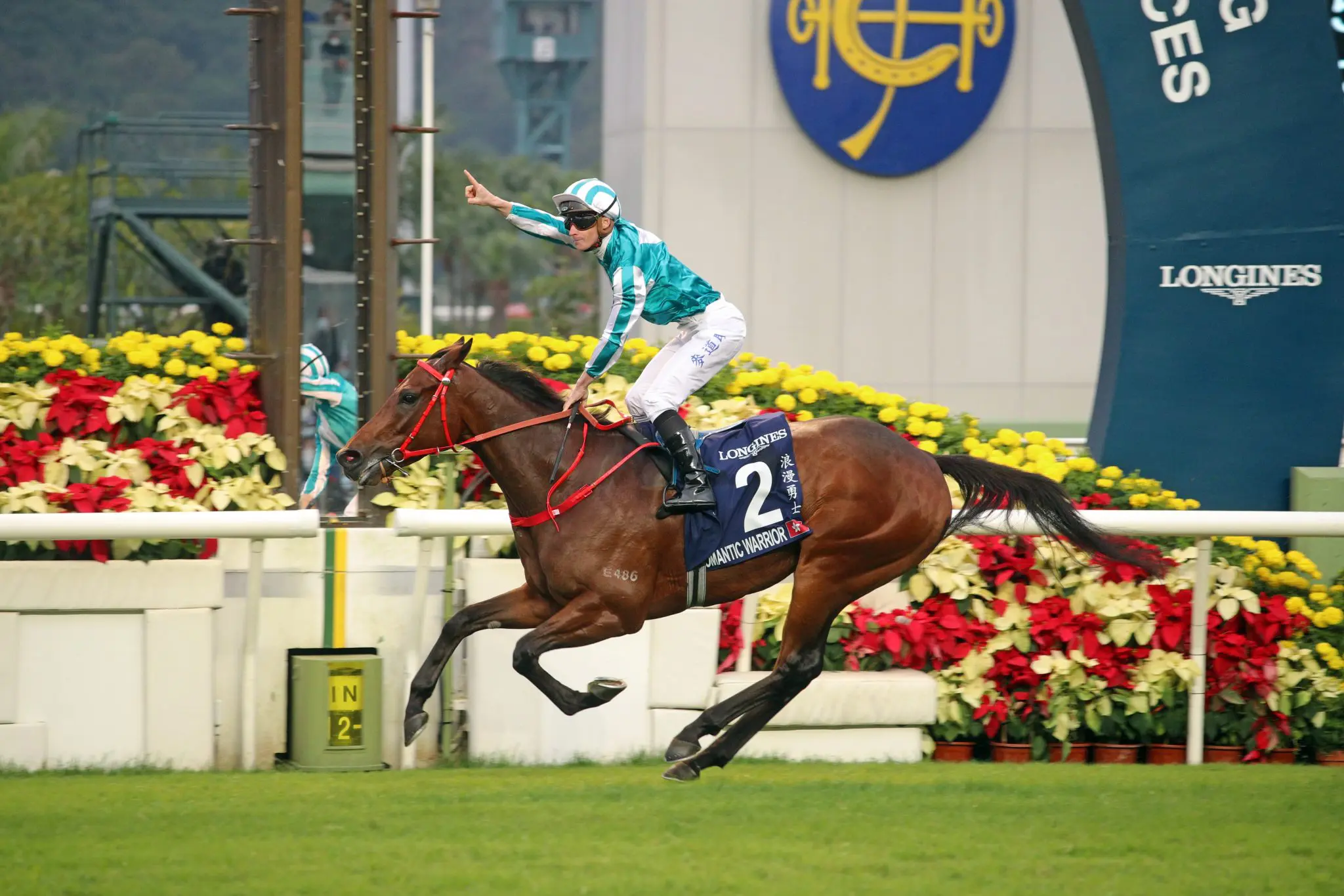 HKIR 2024 Free Race Replays & Results Sha Tin December 8