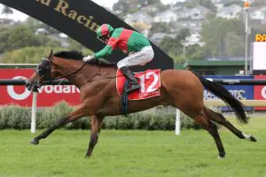 Derby winner returns at Te Rapa