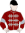 Shining Smile silks
