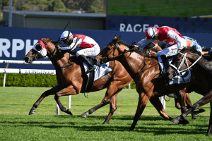 Kirwan's Lane beats stablemate in minor boilover in The Ingham