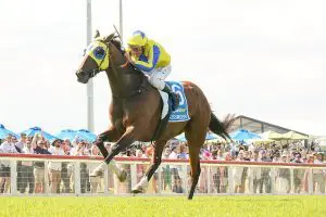 Kissinger winning the 2022 Pakenham Cup